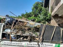 Best Attic Cleanout  in League City, TX